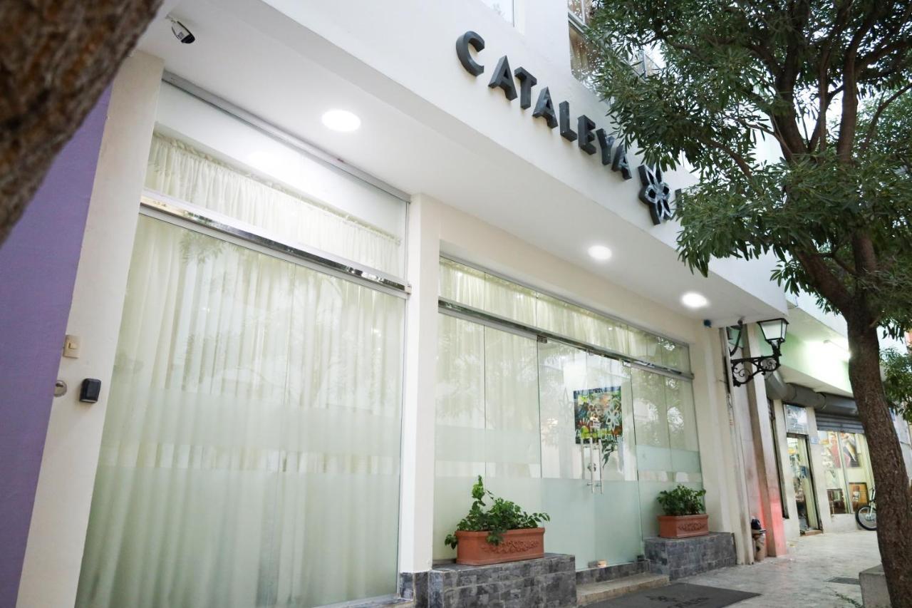 Cataleya Hotel Santo Domingo Zewnętrze zdjęcie
